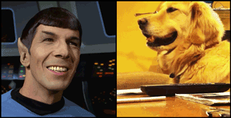 DEyY2pmSVuTqkIXwcp7C_Star-Trek-Dog-Combo.gif