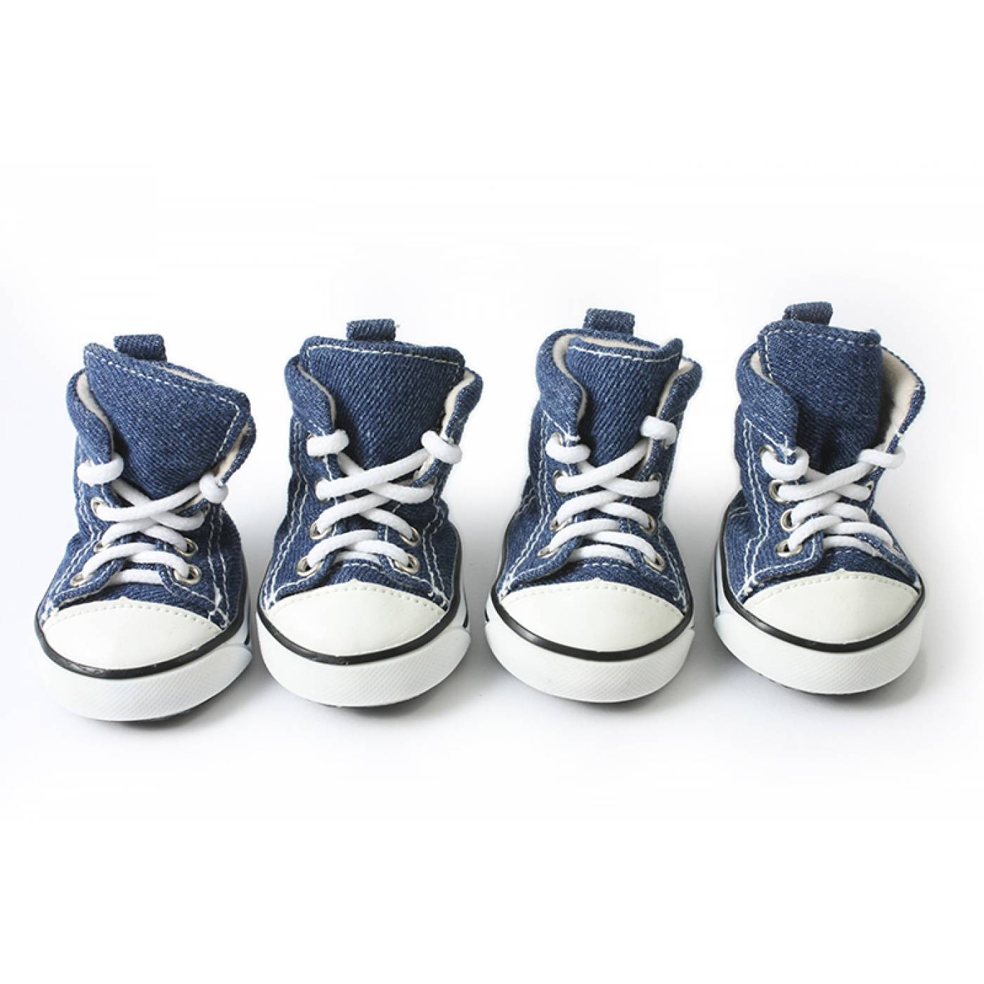 converse chien converse chien