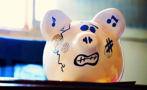 pig