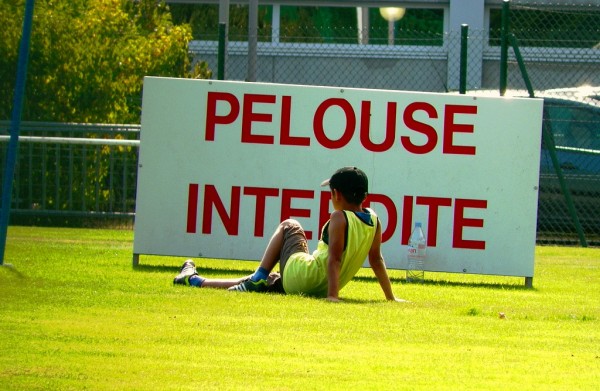 pelouse