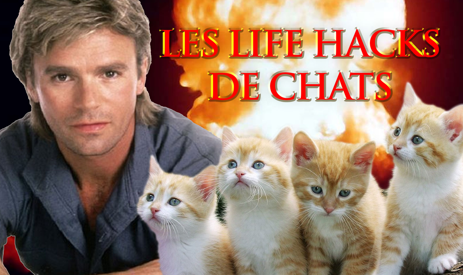 sexe banlieue sexe félin sexe banlieue sexe félin