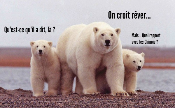 polar
