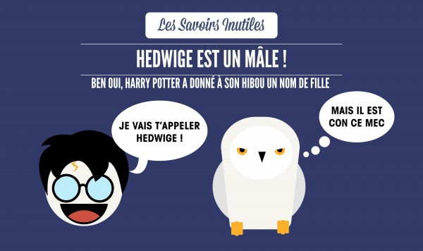 SAVOIRS_INUTILES_TEMPLATE-harry potter-04