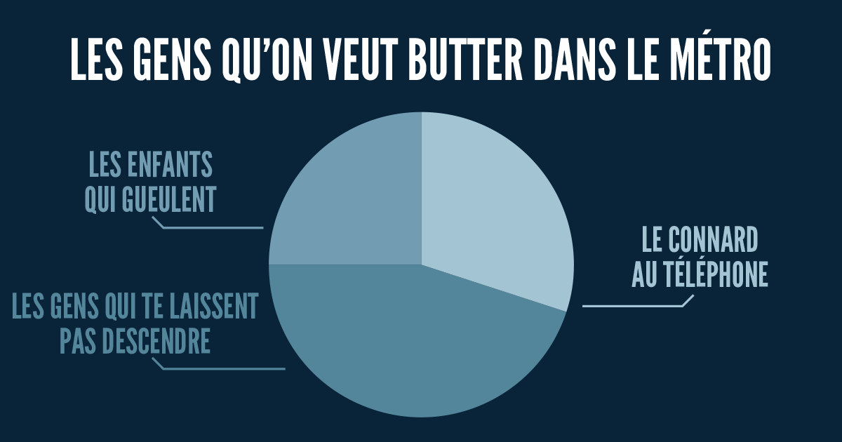 une_infographie_camembert (2)