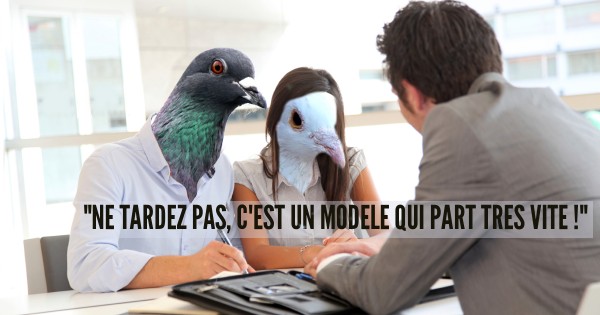 sales