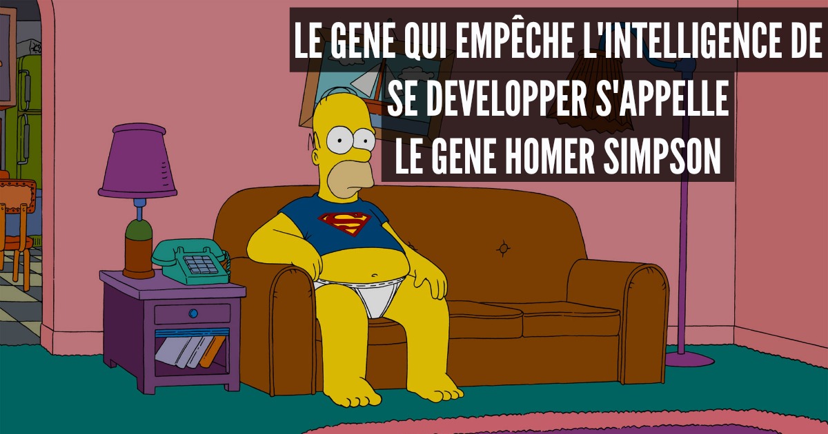 simpson sexe phrase sur le sexe simpson sexe phrase sur le sexe