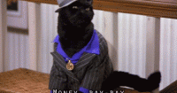 chat