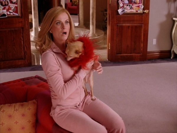 amy-in-mean-girls-amy-poehler-7197493-640-480