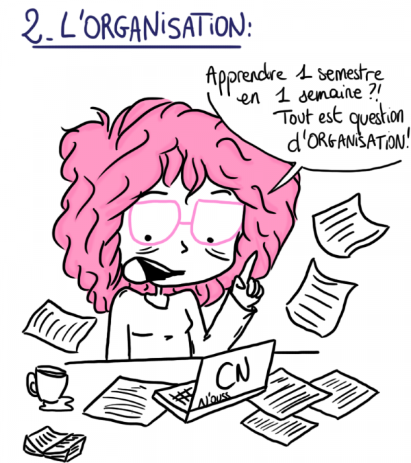 2-organisation_nouss