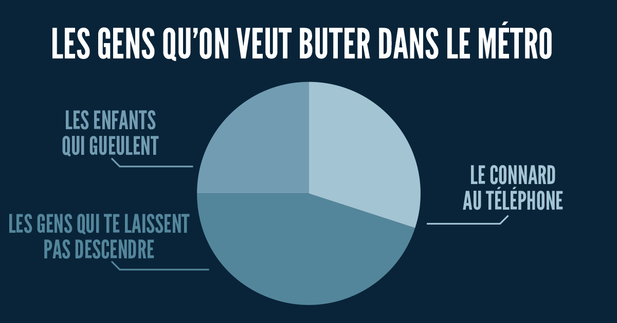 une_infographie_camembert (2)