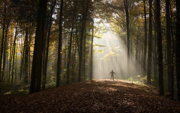 foret
