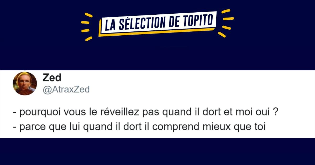 Top 20 des meilleures punchlines de prof de l’histoire