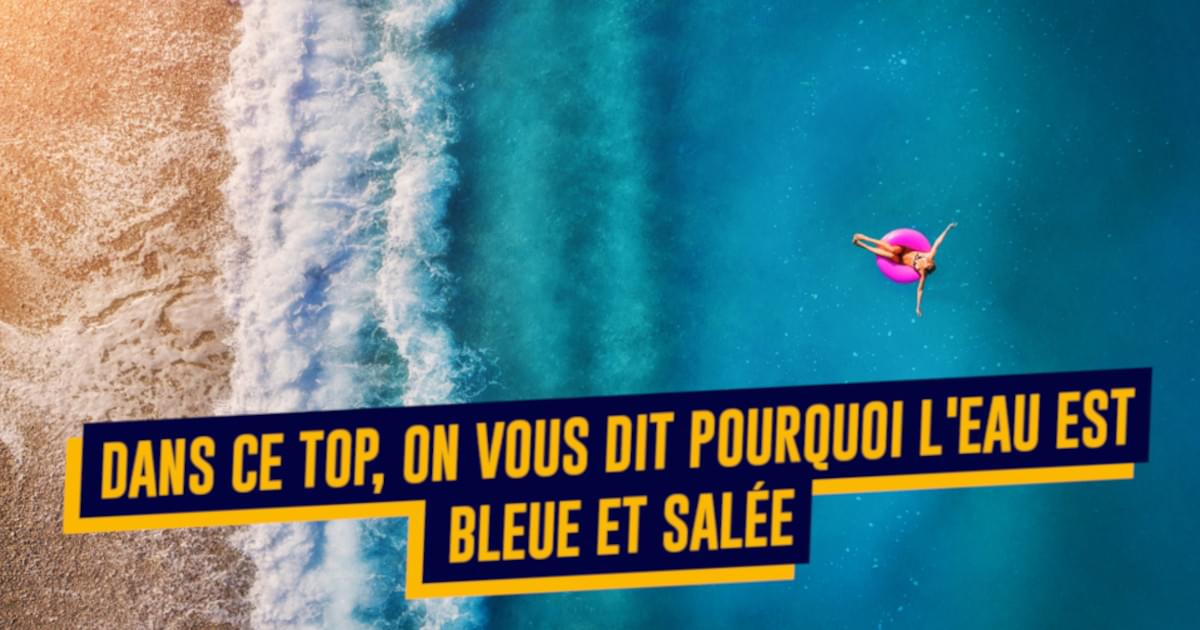 Top 10 des réponses aux questions existentielles quon se pose sur la plage