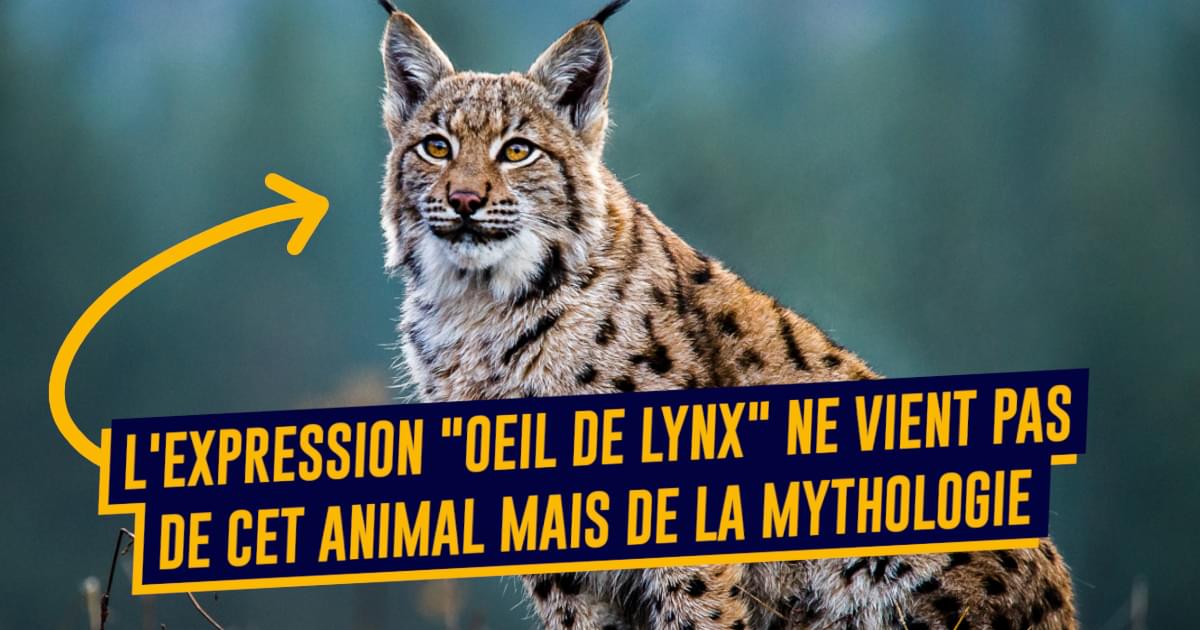 Top 15 Des Expressions Qui Viennent De La Mythologie Cest Pas Des Mythos