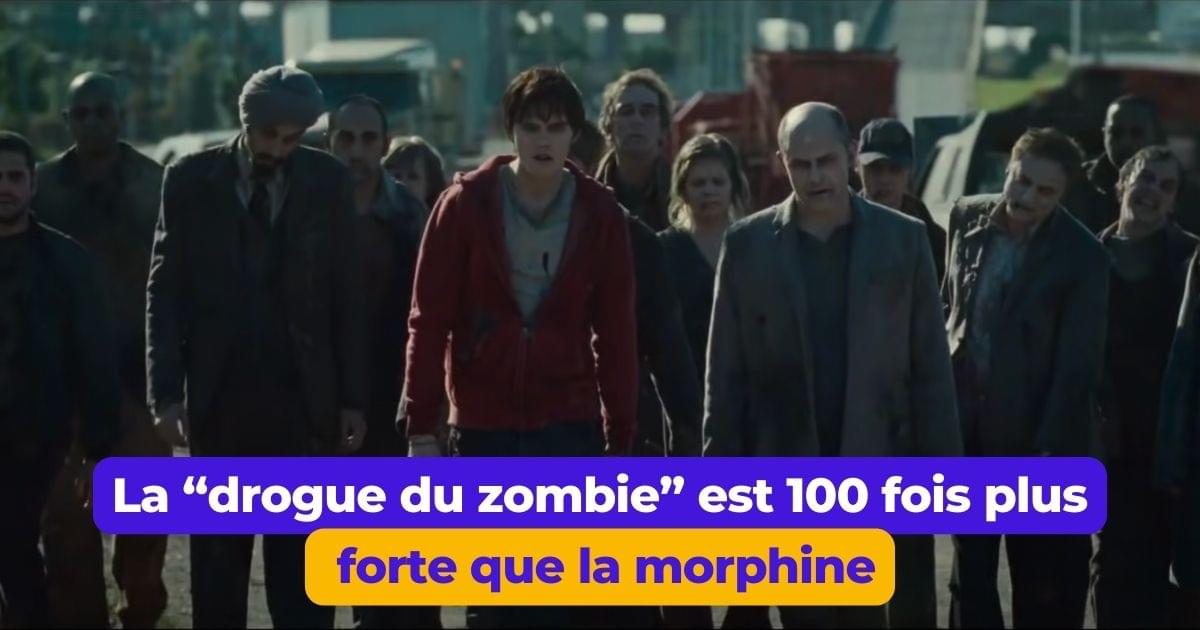 10 choses à savoir sur la drogue du zombie