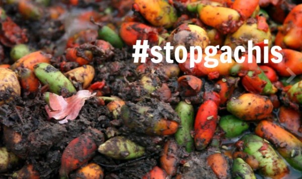 stopgachis