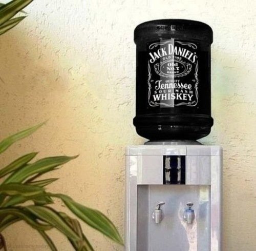 cool-drinking-lol-picture-whisky-Favim.com-333100