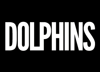 dolphins rape