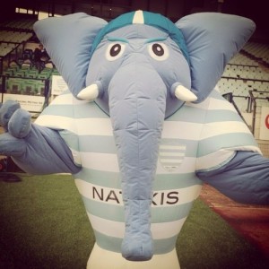 Elephant
