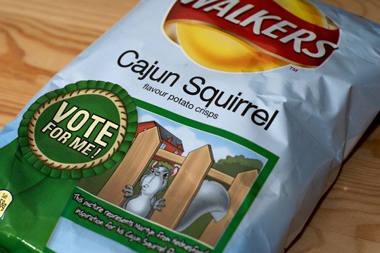 Walkers-Cajun-Squirrel-Chips