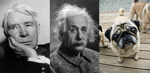 einstein