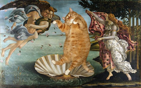 Botticelli-The-Birth-of-Venus-cat-sm1 (1)_resultat