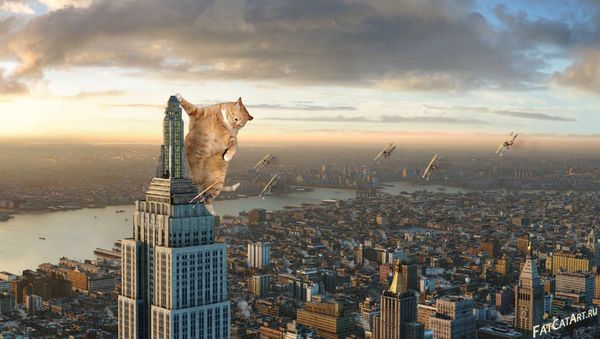 King-Kong-2005-cat-w_resultat