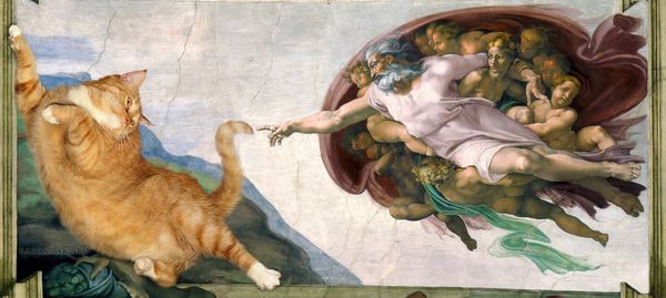 Michelangelo_-_Creation_of_cAt-dam-cat-w1_resultat