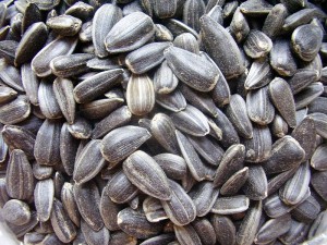 Sunflowers_seeds