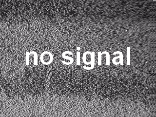 no_signal_by_neko_rapha-d373ss9