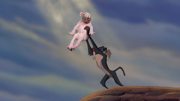 hTDOCa2_resultat