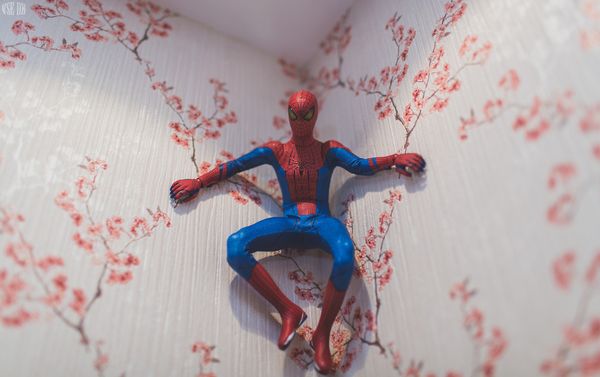 spider3_resultat