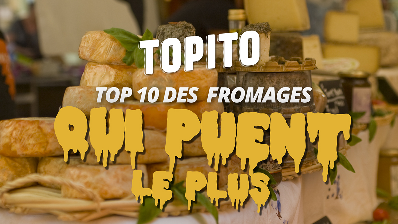 Top Des Fromages Qui Puent: On Vous Dit Tout ! – Tentation Fromage