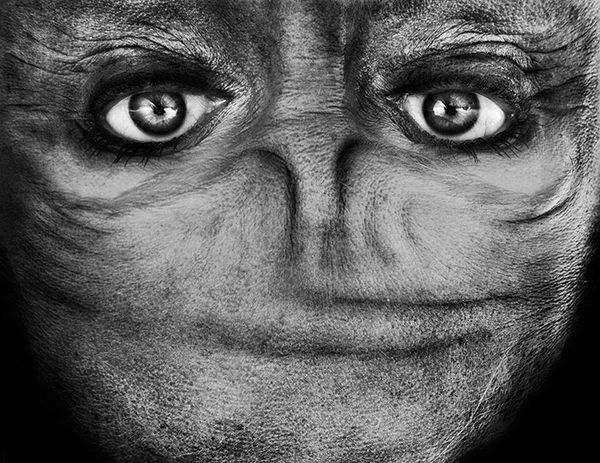 upside-down-portraits-alienation-anelia-loubser-101_resultat