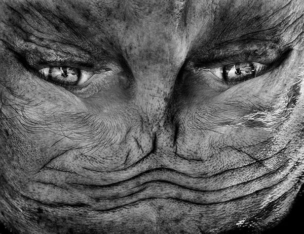 upside-down-portraits-alienation-anelia-loubser-41_resultat