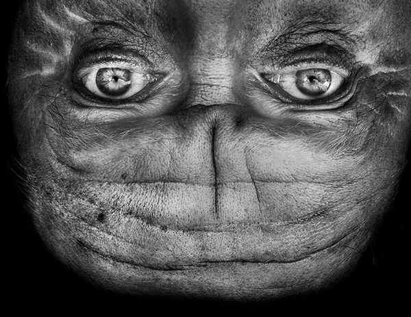 upside-down-portraits-alienation-anelia-loubser-51_resultat