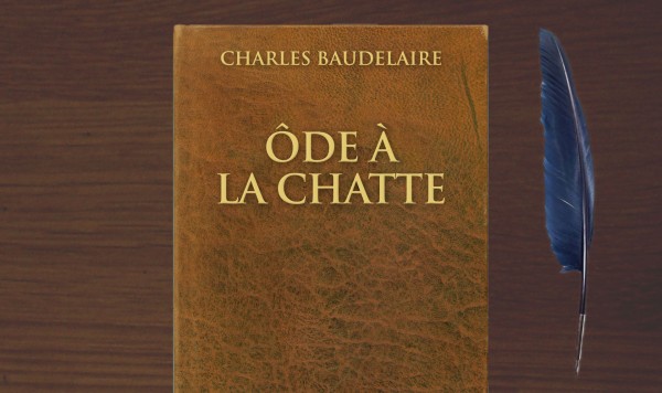 une_livre_cul