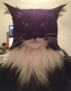 BatmanChat