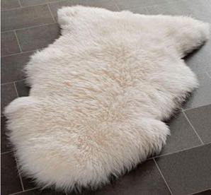 Carpette