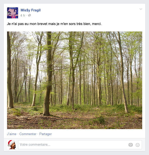 foret2