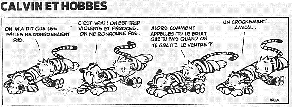 Calvin-et-Hobbes ronronner