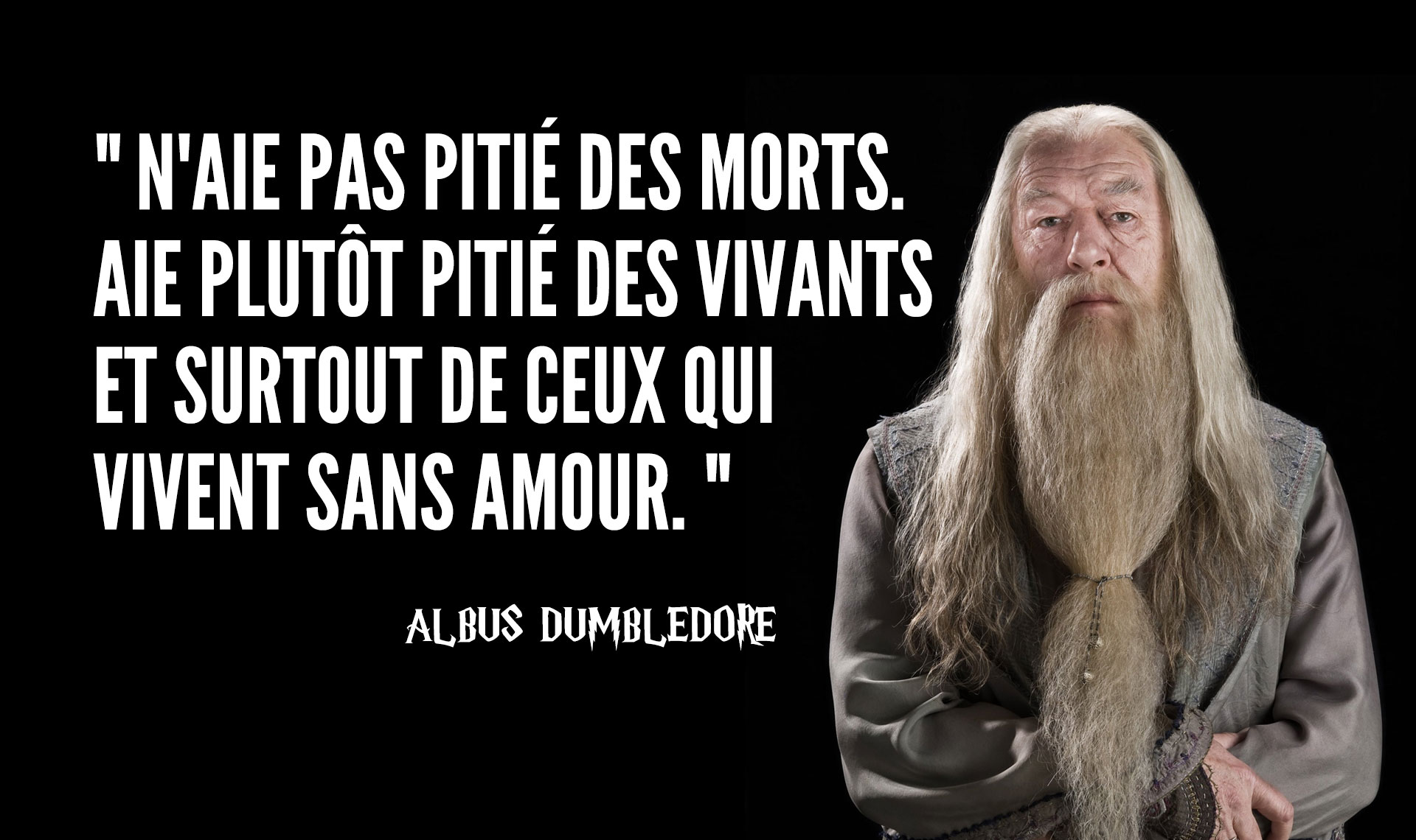 Top 12 des citations dAlbus Dumbledore