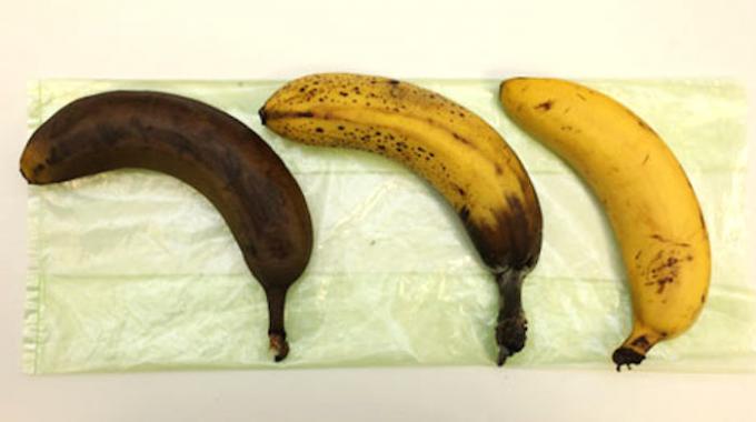 comment-conserver-bananes-fraiches-569