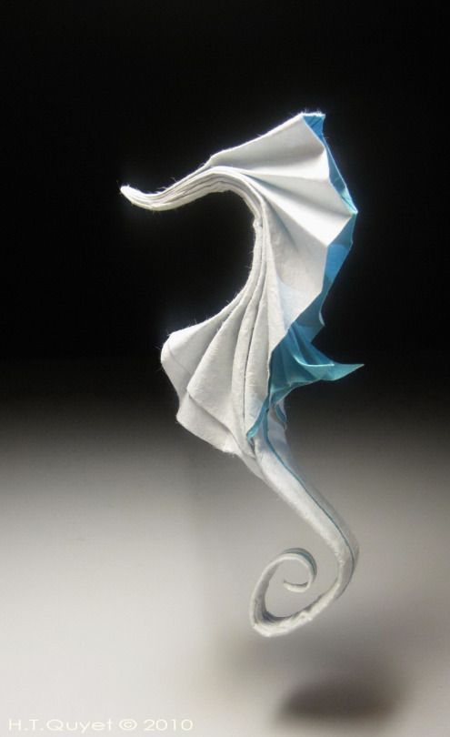 origami-hippocampe