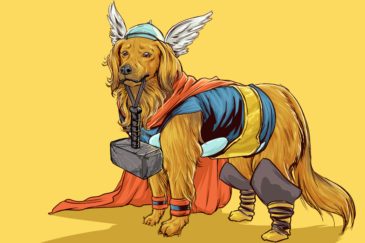 chien-super-heros-9