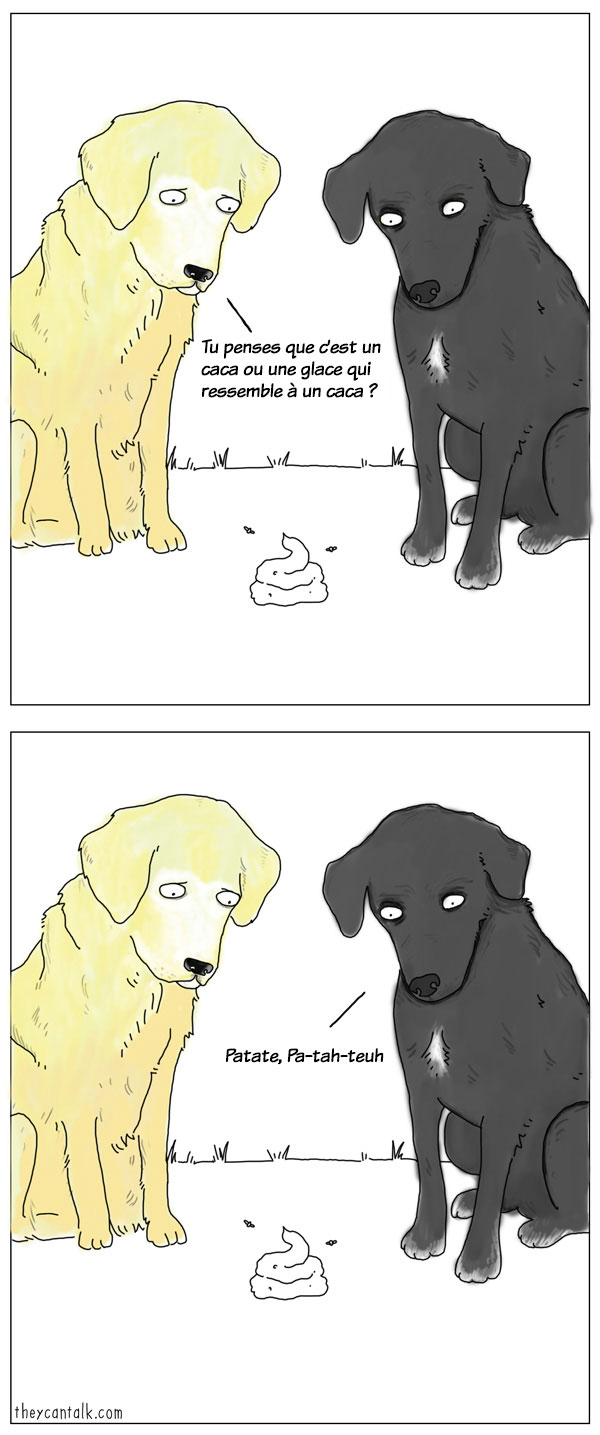 chiens