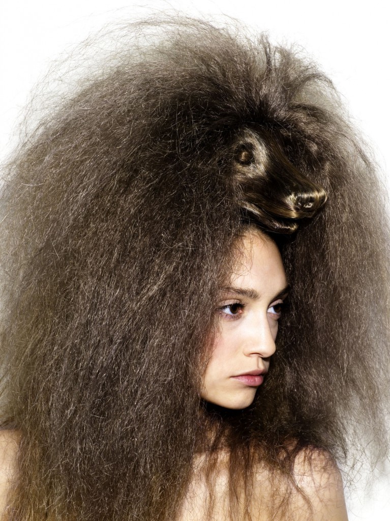 coiffure-chien