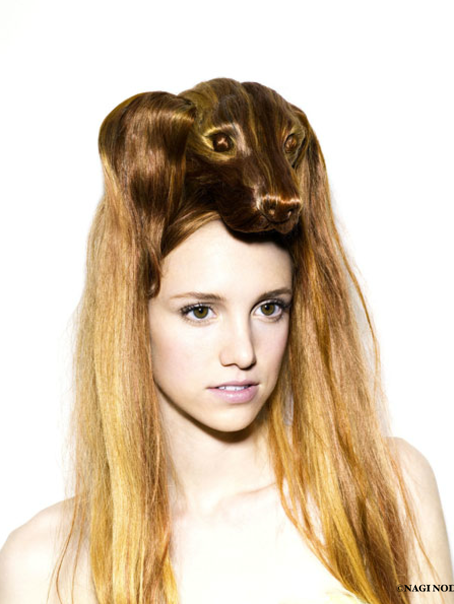 coiffure-chien2