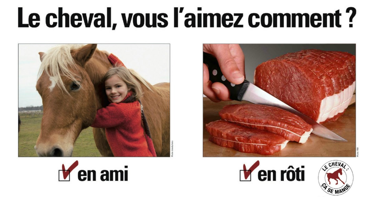 horseeat