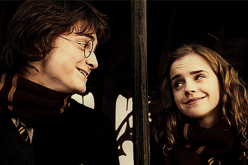 Harry-and-Hermione-GOF-layla-fly-31712630-500-333